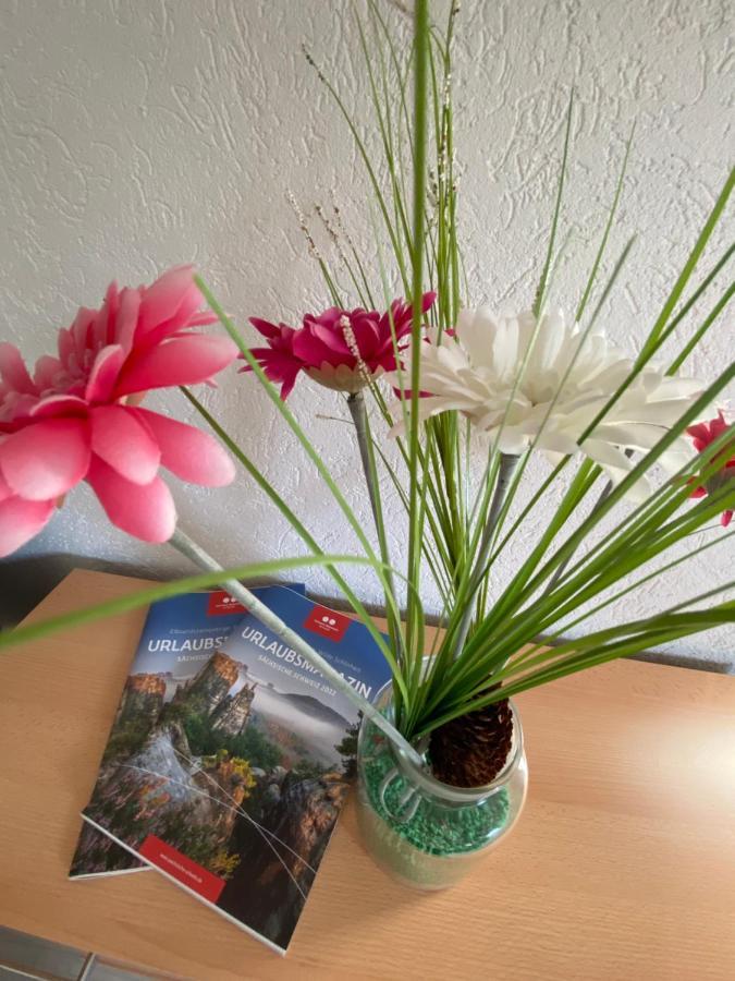 Waldblickwohnung Mit Schoener Terrasse Und Kamin 赛博尼茨 外观 照片