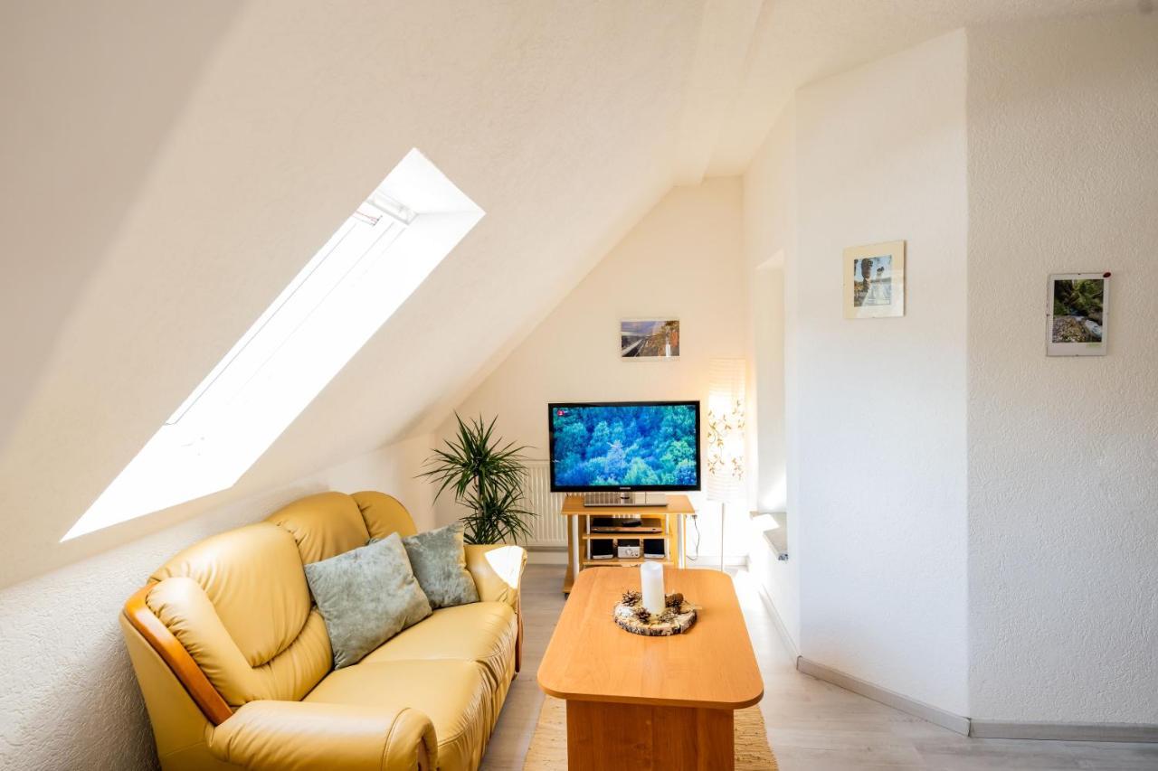 Waldblickwohnung Mit Schoener Terrasse Und Kamin 赛博尼茨 外观 照片
