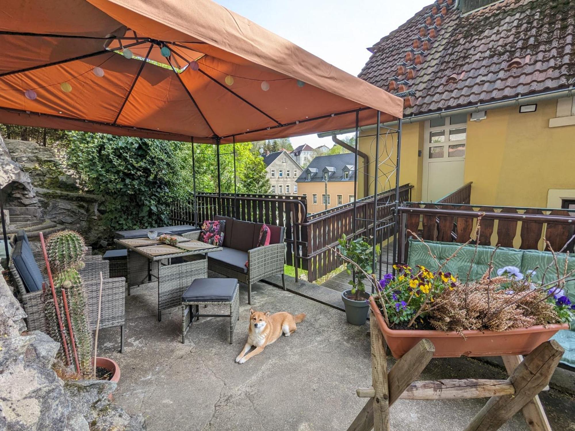Waldblickwohnung Mit Schoener Terrasse Und Kamin 赛博尼茨 外观 照片