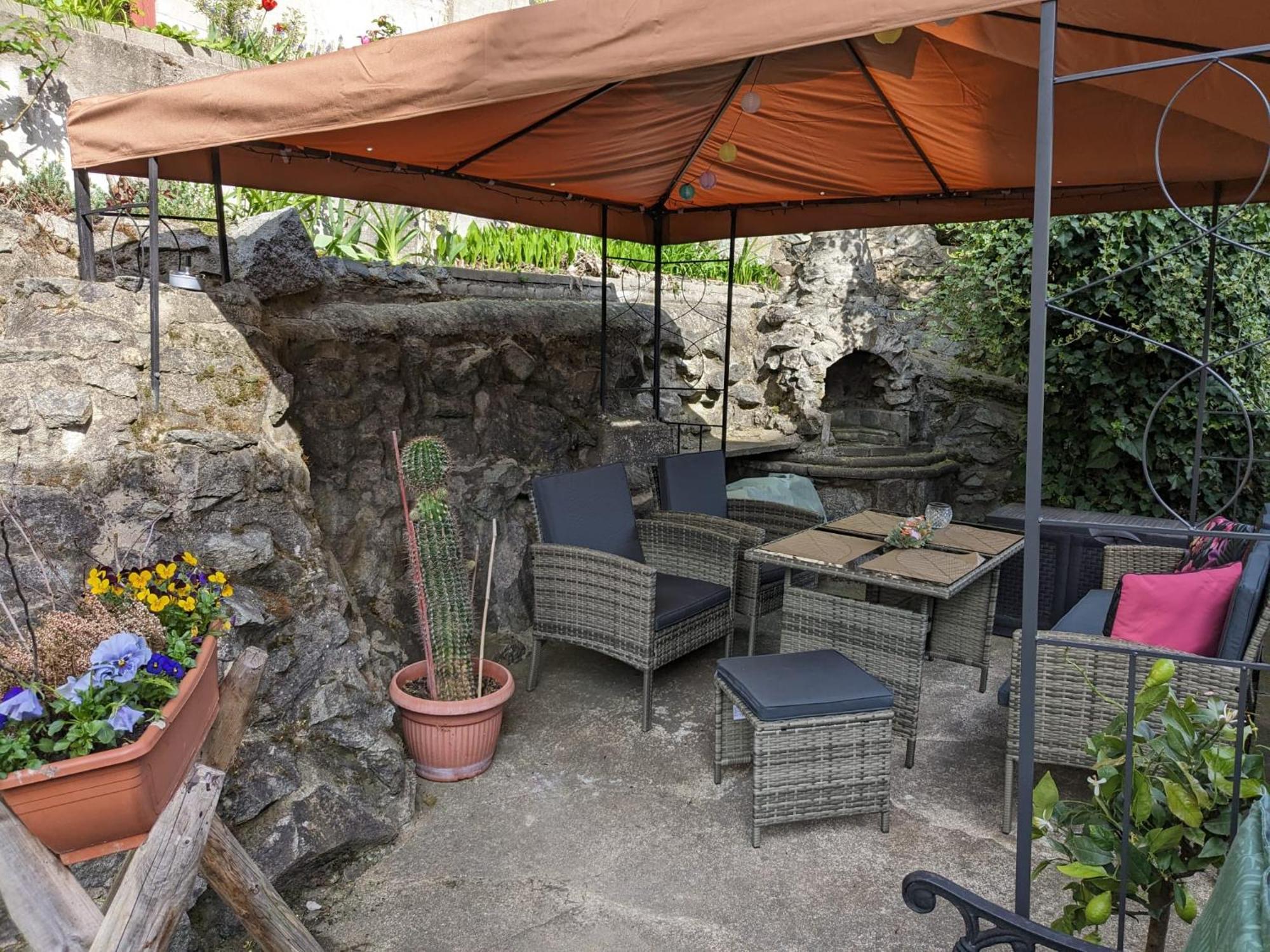 Waldblickwohnung Mit Schoener Terrasse Und Kamin 赛博尼茨 外观 照片