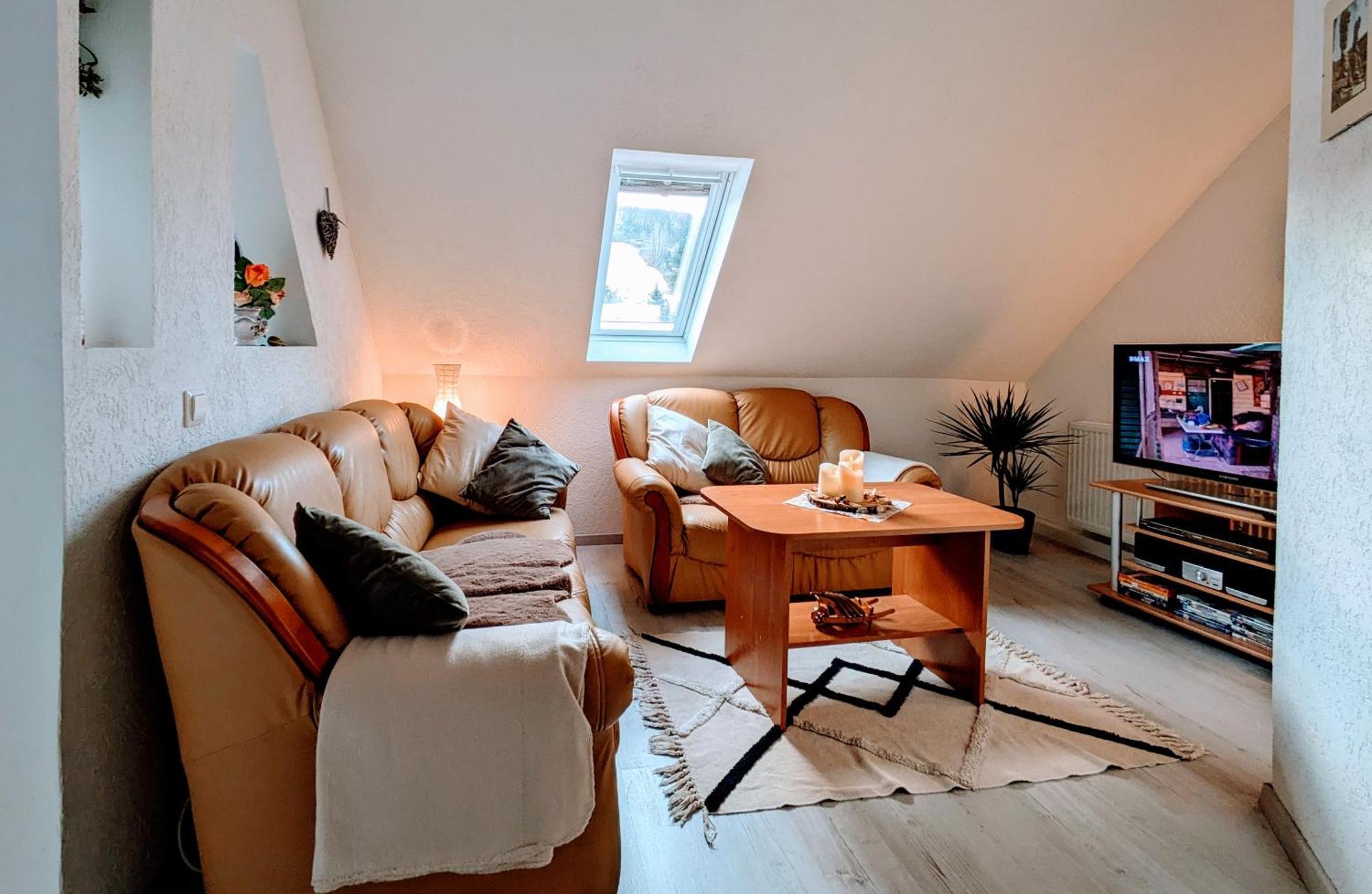 Waldblickwohnung Mit Schoener Terrasse Und Kamin 赛博尼茨 外观 照片